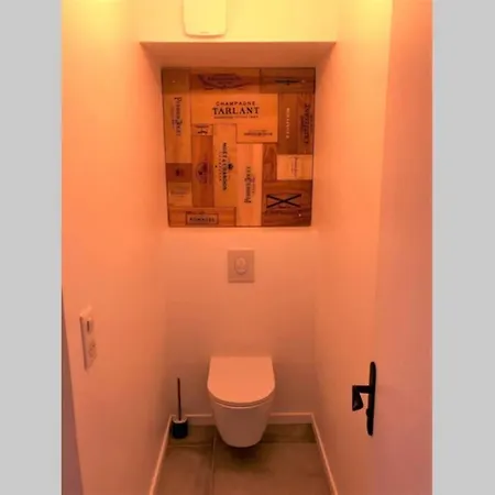 Appartement Hypercentre Grand Balcon Vue Cathédrale Reims