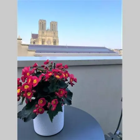 Hypercentre Grand Balcon Vue Cathédrale Appartement Reims